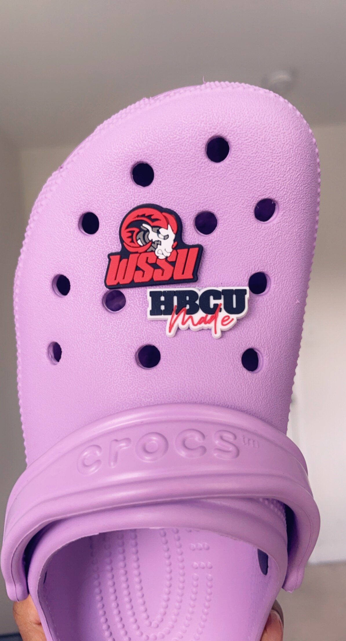 Winston-Salem State University MADE