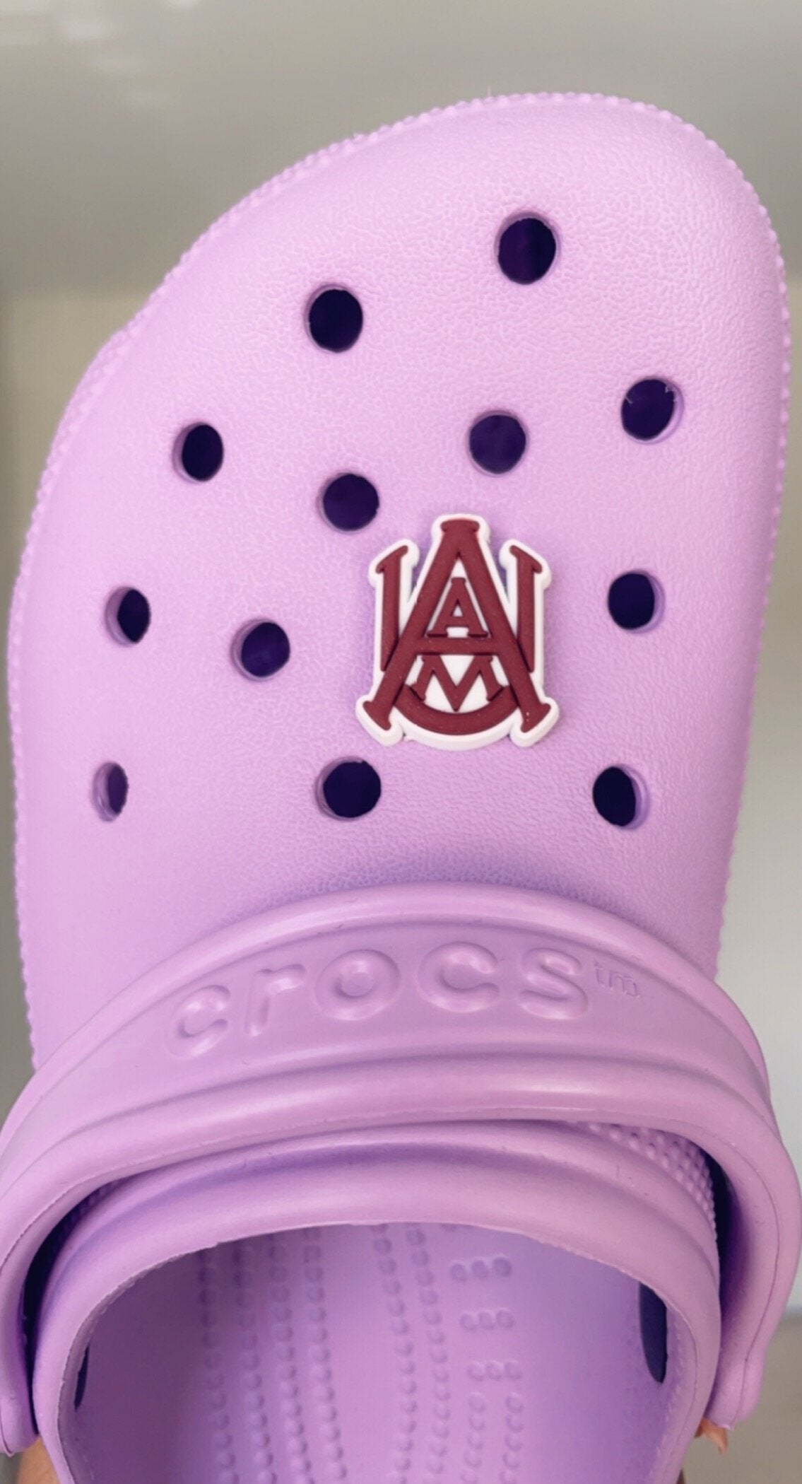 Alabama A&M University